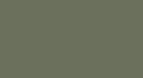 OLIVE COLOR