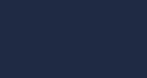 NAVY COLOR